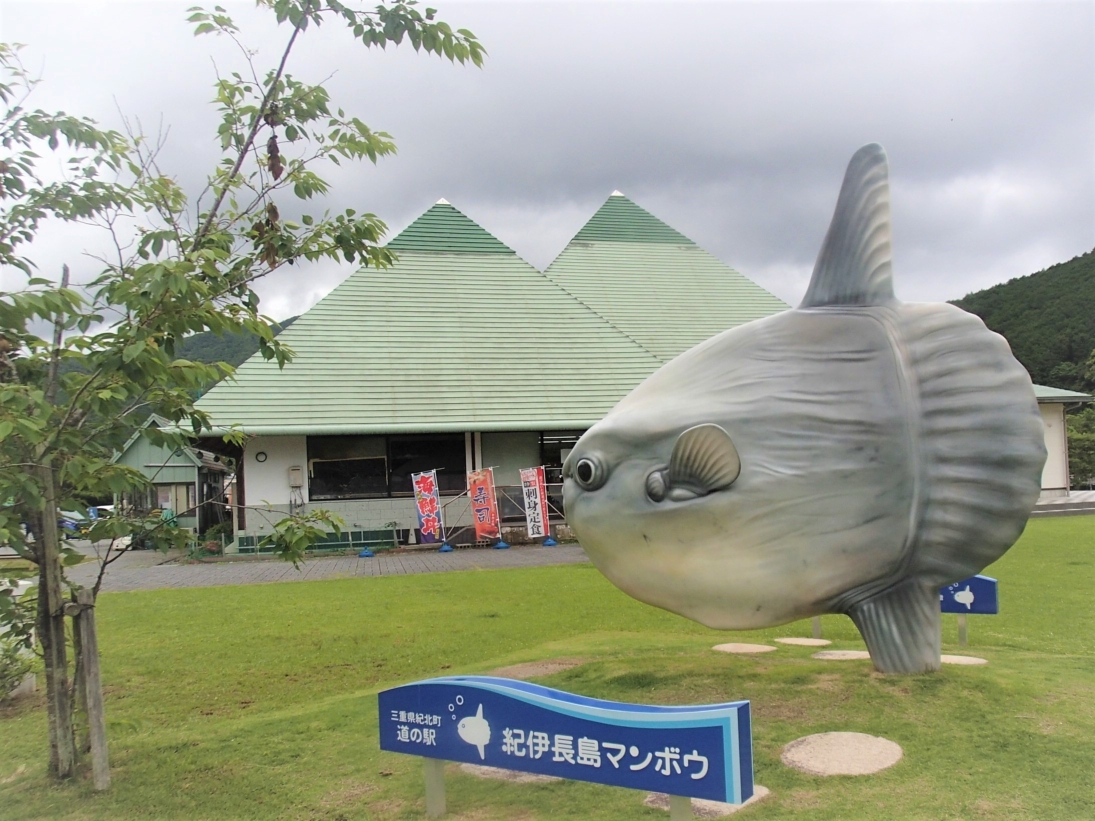 片上池地区（道の駅マンボウ）