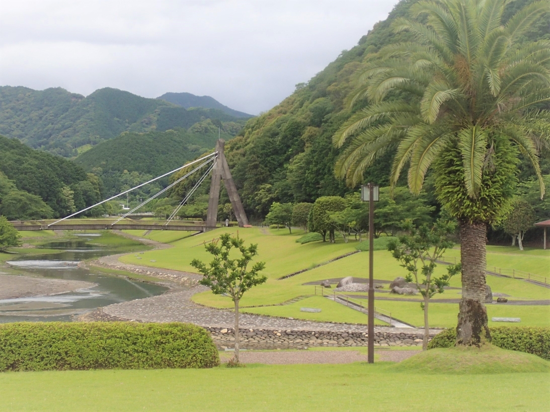 大白地区