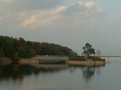道伯池（浮島）