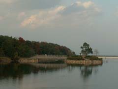 道伯池（浮島）