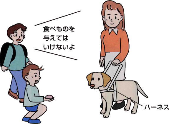 盲導犬のイラスト