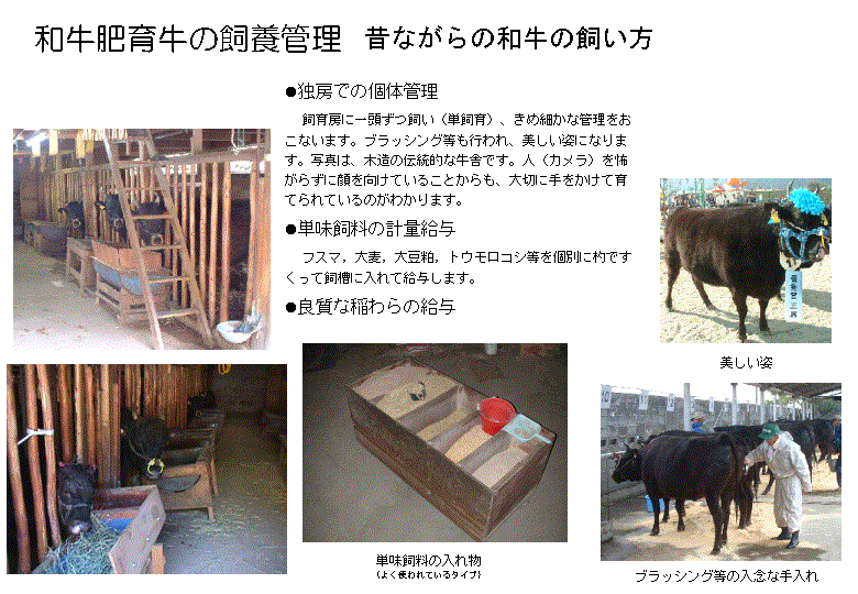 和牛肥育牛の昔ながらの飼い方の例を示した図です。