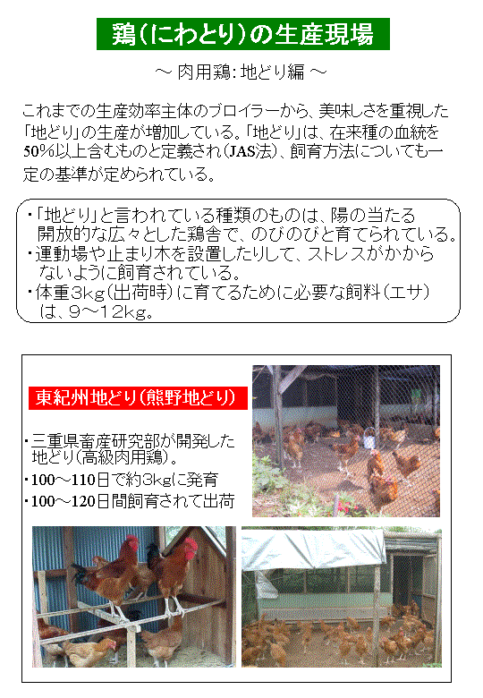 肉用鶏（地どり）の生産現場について示した図です。