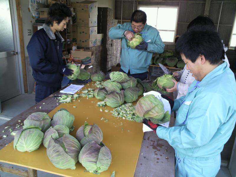 黒豆選別