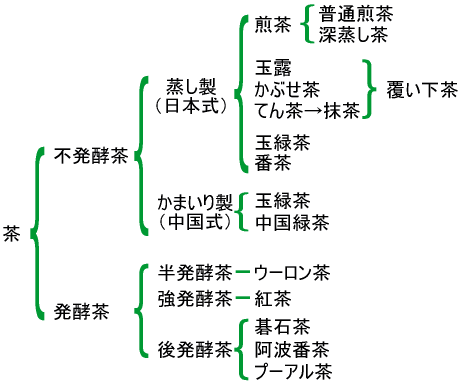 お茶は不発酵茶と発酵茶に大別され、不発酵茶には蒸し製（日本式）の煎茶や玉露、かぶせ茶や番茶などと、かまいり製（中国式）の玉緑茶、中国緑茶があります。発酵茶には半発酵のウーロン茶、強発酵の紅茶、後発酵のプーアル茶などがあります。