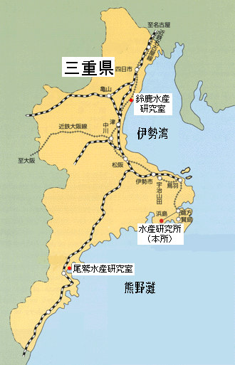 三重県水産研究所の地図