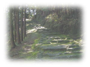 波田須の鎌倉石畳