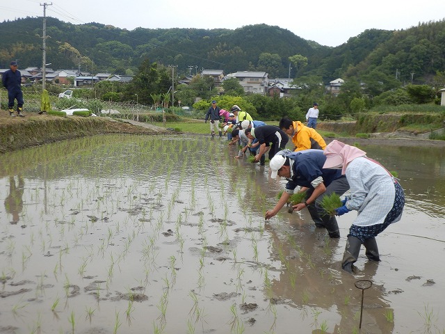 真ん中ぐらい