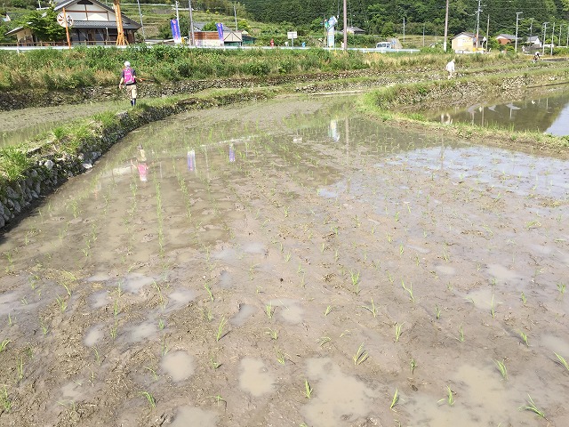 終わり