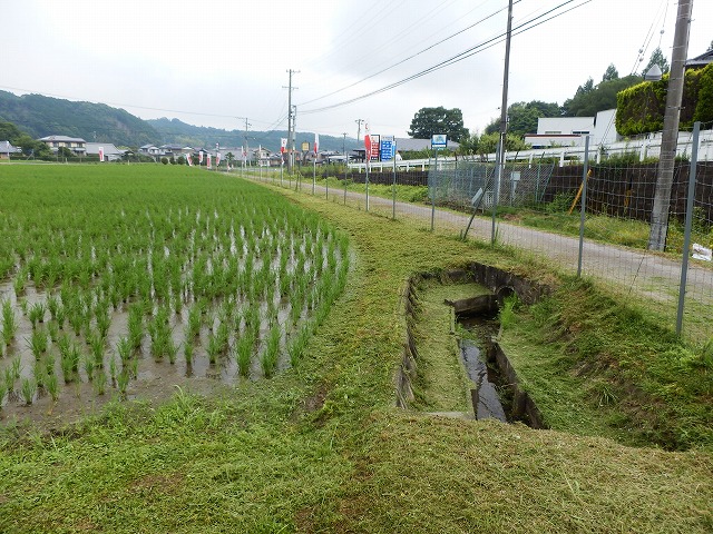 草刈り後