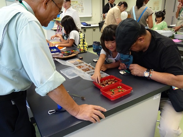 顕微鏡で観察する種は新鮮でした