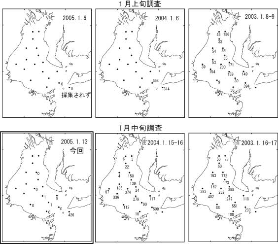 イカナゴ仔魚分布状況(左:2005年,中:2004年,右:2003年)