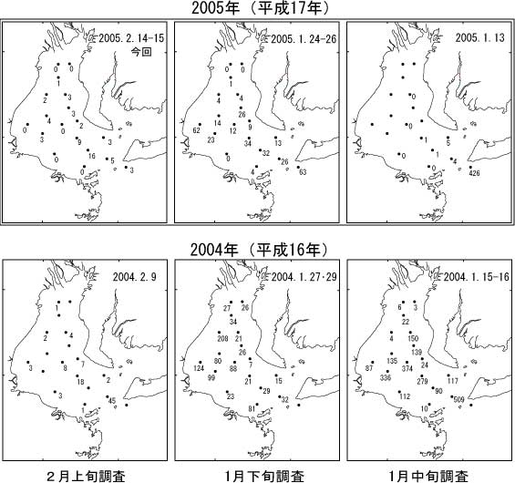 ボンゴネットによるイカナゴ仔魚採集量