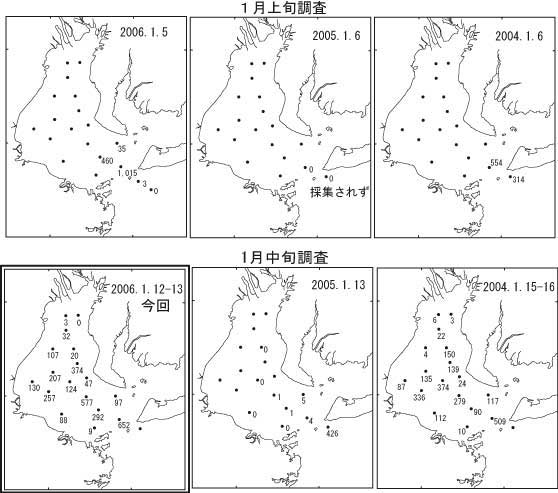 ボンゴネットによるイカナゴ仔魚採集量