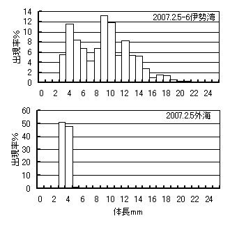 採集されたイカナゴ仔魚の体長組成