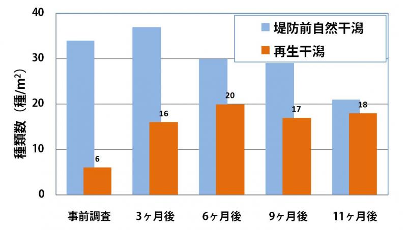 種類数の変化