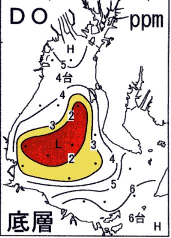 底層溶存酸素量水平分布（6月13日）