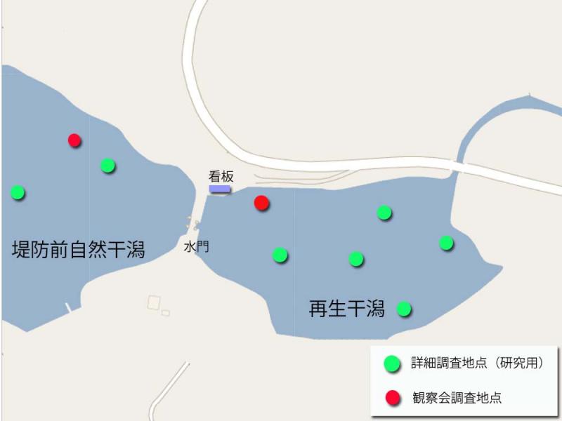 調査地点図
