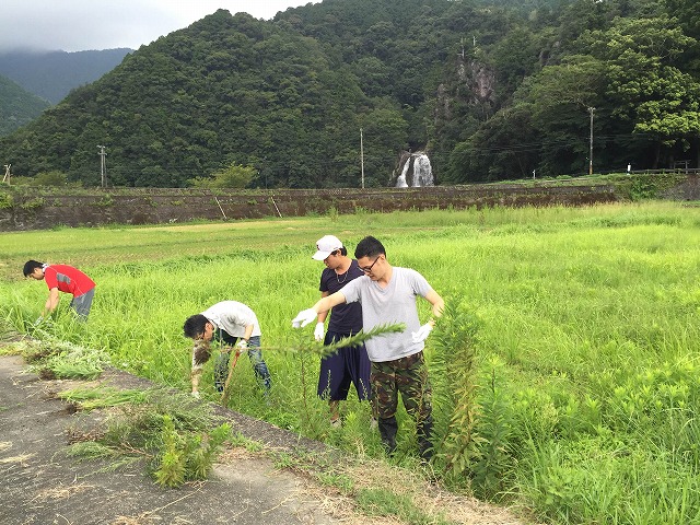 草刈り