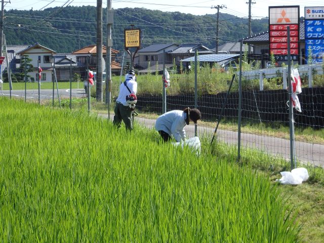 草刈り