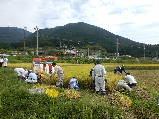 手刈り