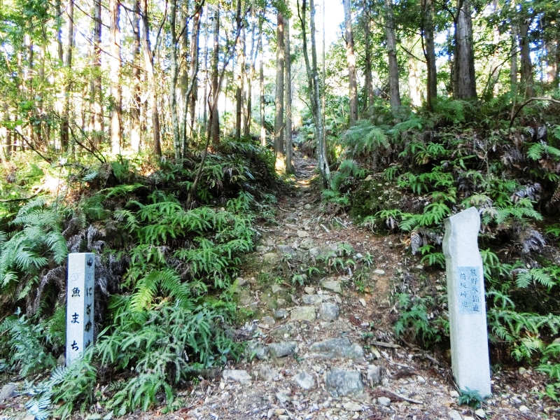 熊野古道荷坂峠入口