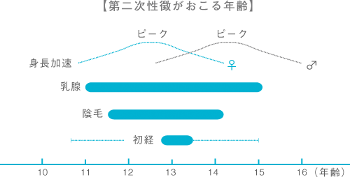 js jcの陰毛生え始め Yahoo!知恵袋 - Yahoo! JAPAN