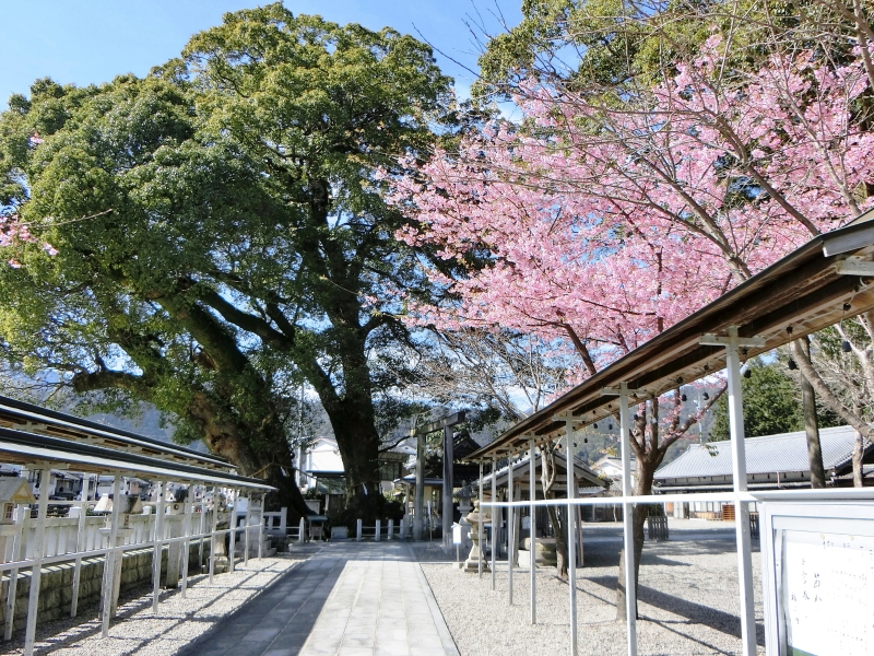 尾鷲神社