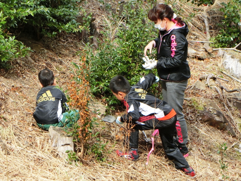 植樹風景1
