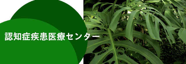 認知症疾患医療センター