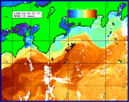 ノア画像とカツオ漁場位置1998年4月4日