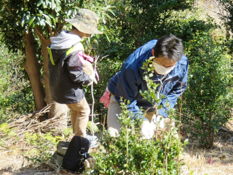 親子で植樹