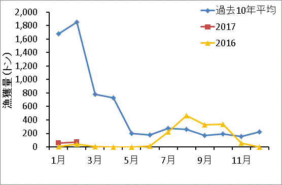 三重県 水産研究所 魚種紹介 カタクチイワシ