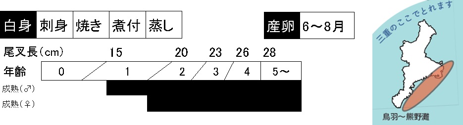 イサキの調理法、成長、産卵期、三重県内の漁場の説明