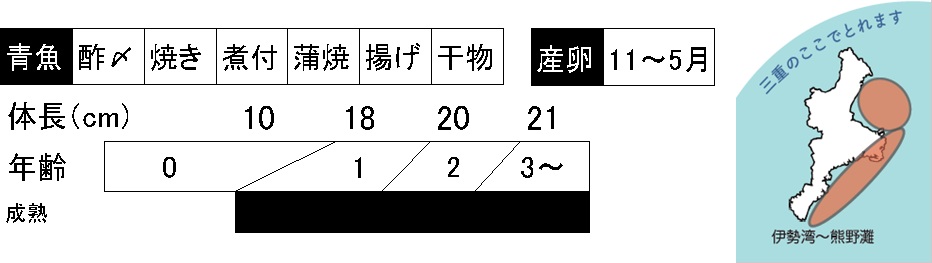 マイワシの調理法、成長のデータ