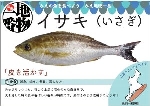 魚popの例