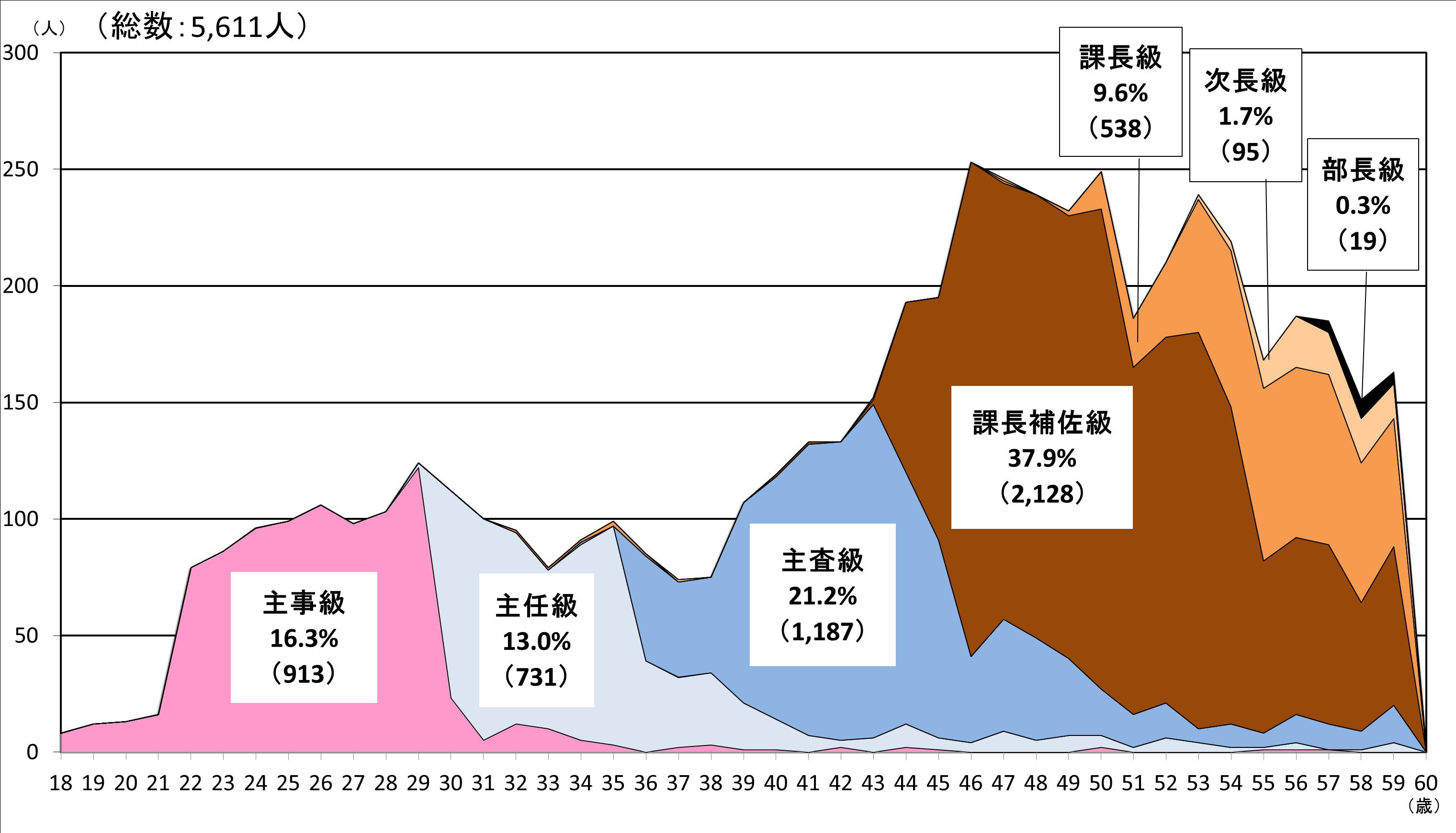 年齢・職級別職員構成