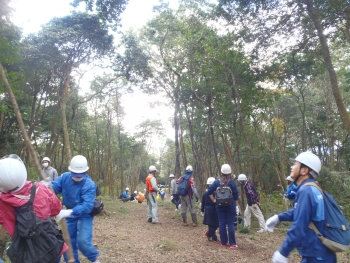 作業に取組む参加者の様子