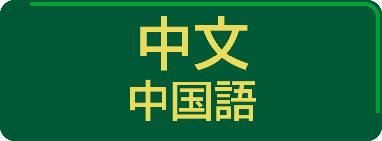 中国語／中文