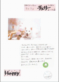 犬の画像