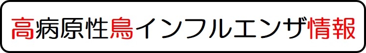 リンク画像