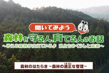 小学５年生社会　問３　森林の適正な管理