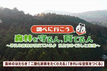 小学6年生理科 調べ2 二酸化炭素をたくわえる きれいな空気をつくる