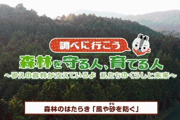 小学6理科調べ6 風や砂を防ぐ
