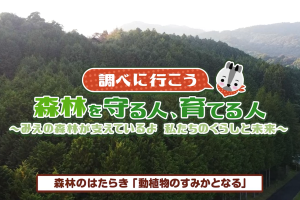 調べ3「動植物のすみかとなる」