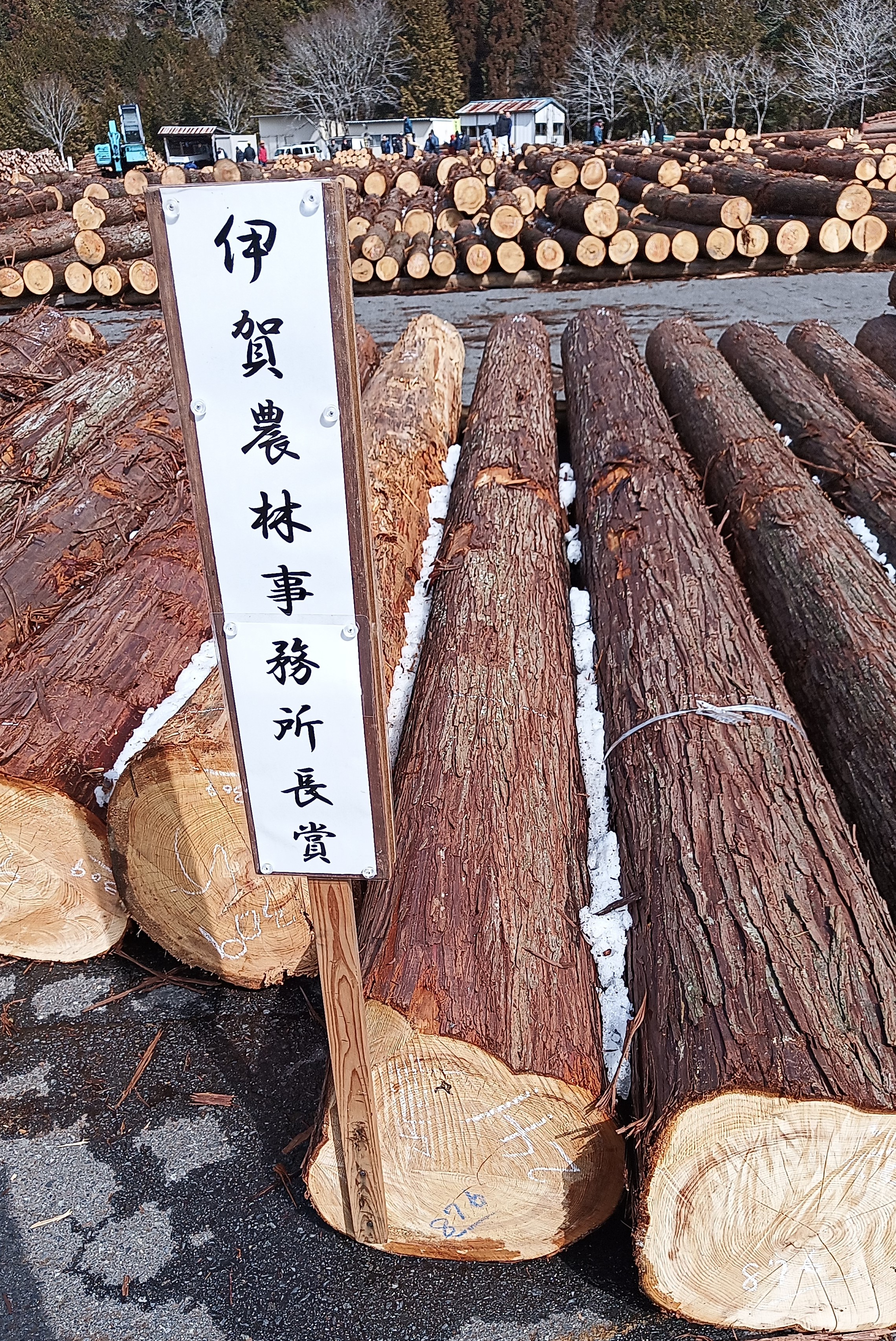 優良原木(伊賀農林事務所長賞)