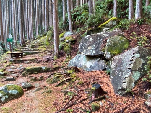 曽根次郎坂・太郎坂