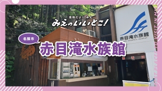 いいとこ動画サムネイル:赤目滝水族館