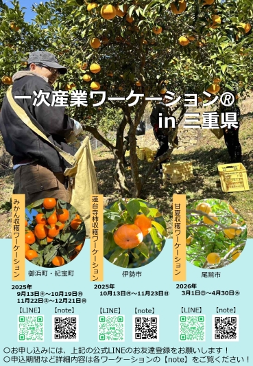 みかん収穫ワーケーションチラシ画像