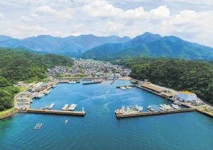 photo:奈屋浦漁港